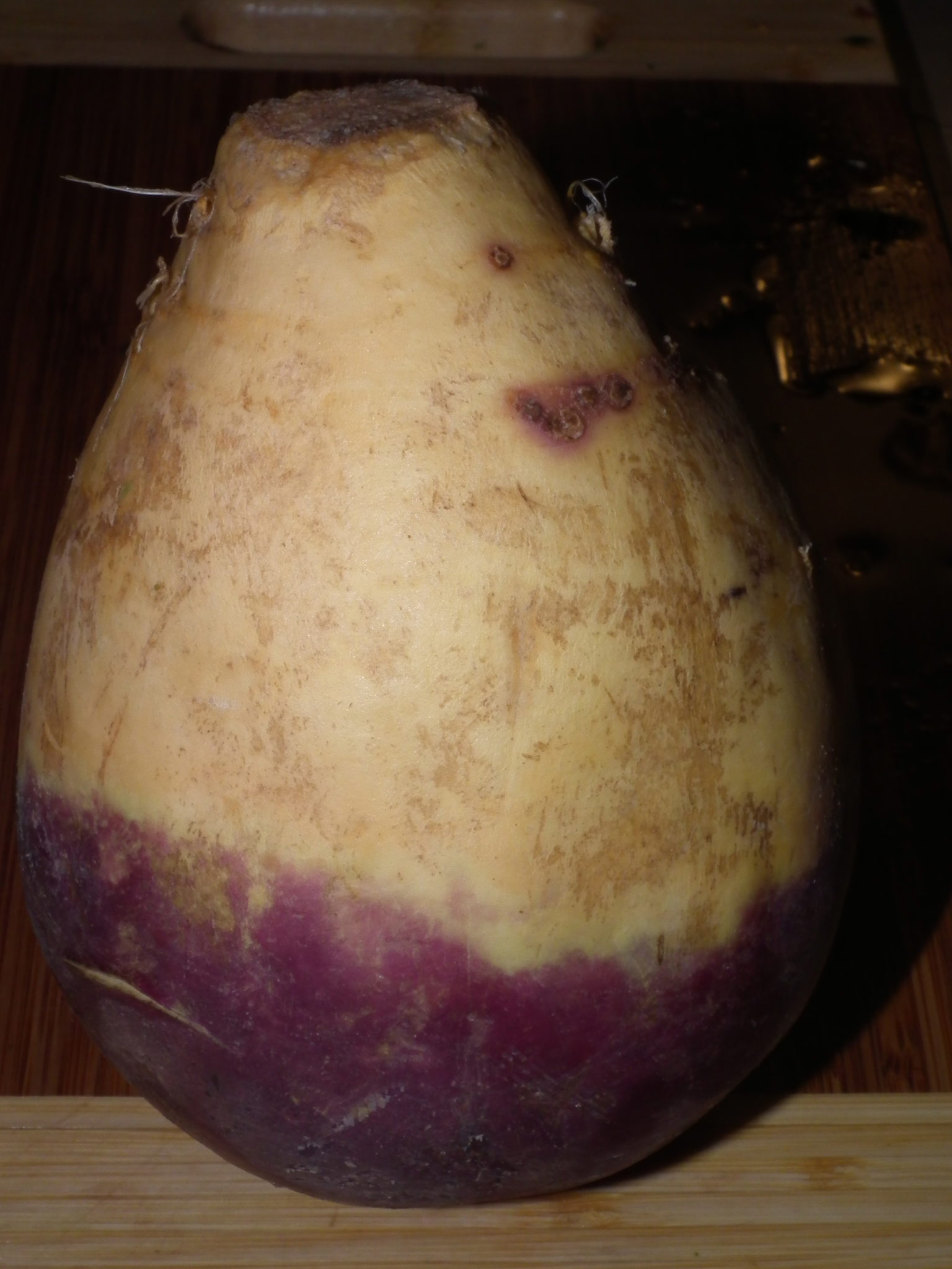 Health Bite: Rutabaga (…ugly but delicious!)