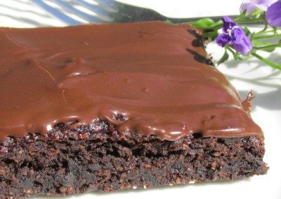 Chewy Cocoa Brownies